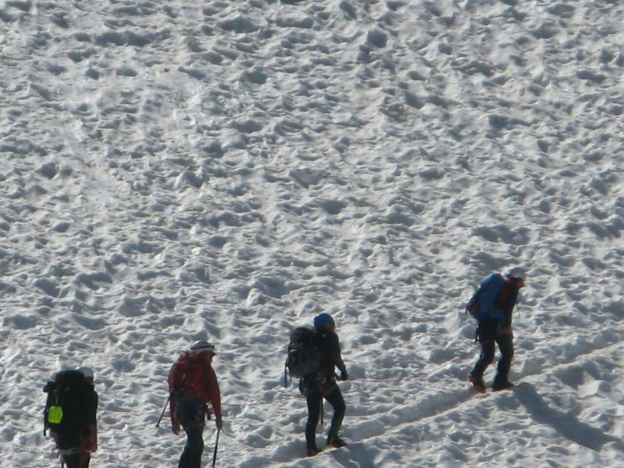 IMG 0531