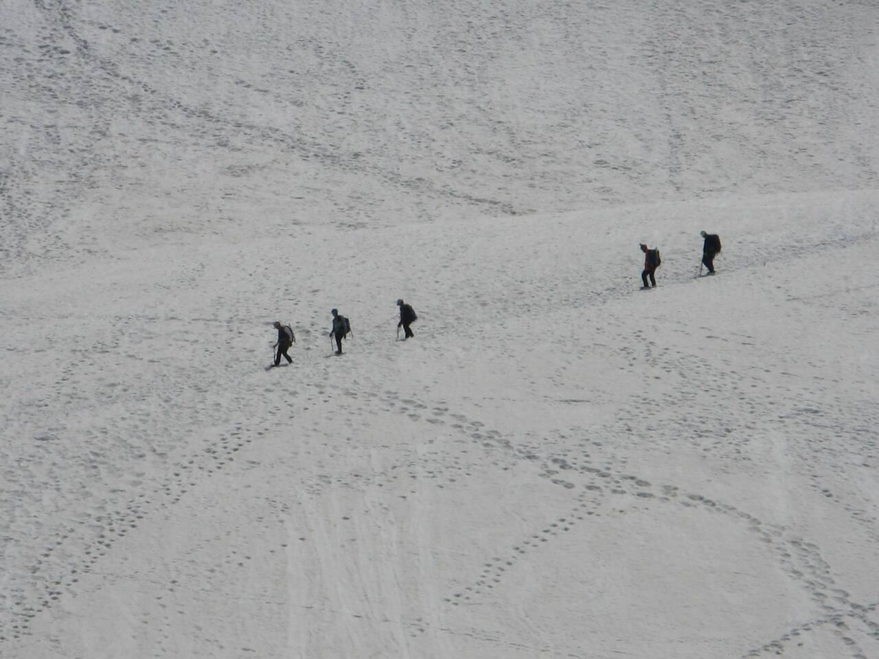 IMG 0547