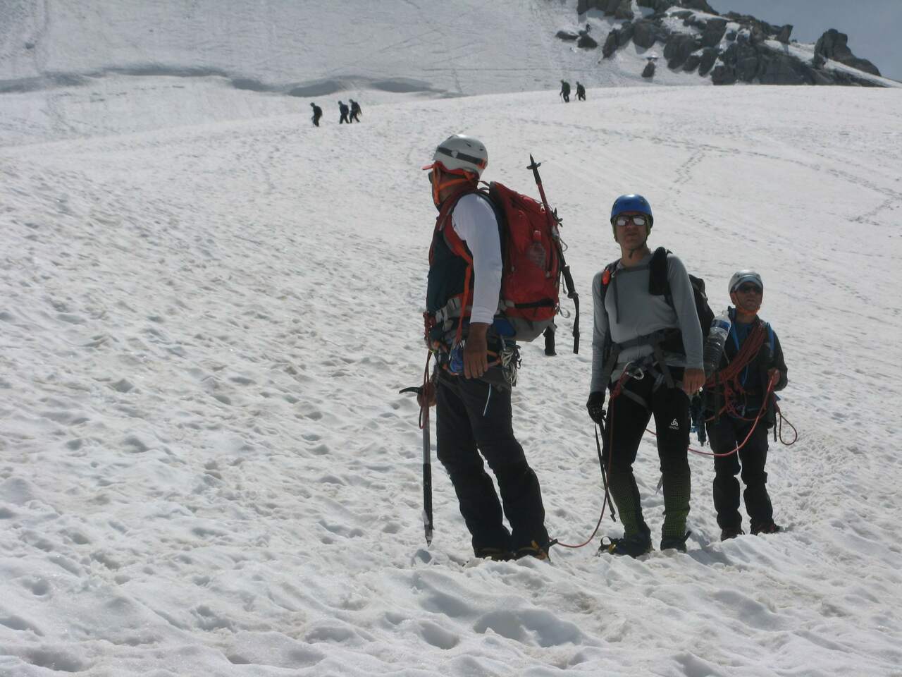 IMG 0552