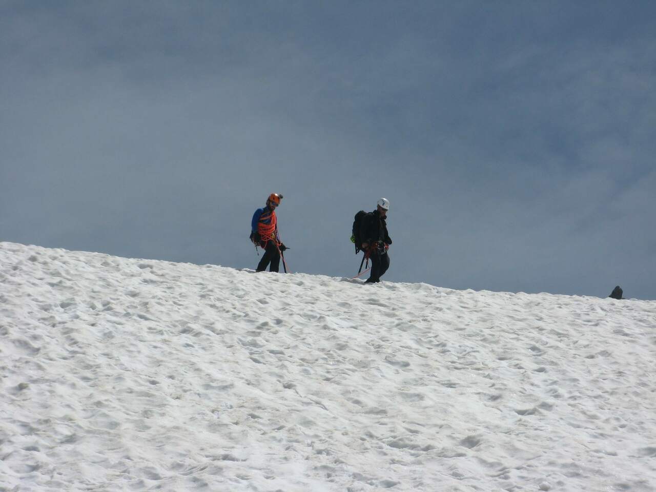 IMG 0554