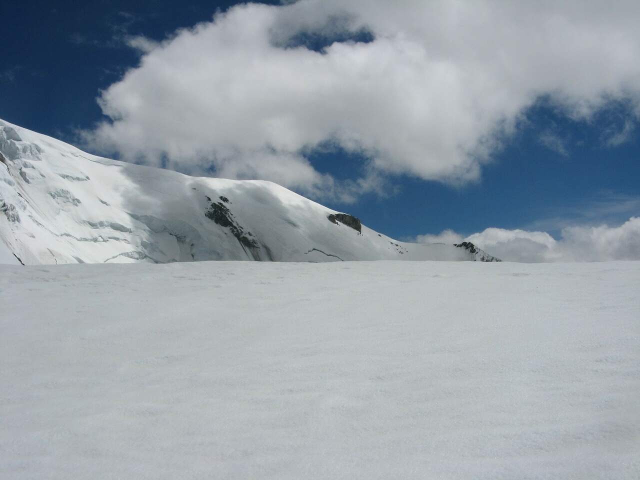 IMG 0620