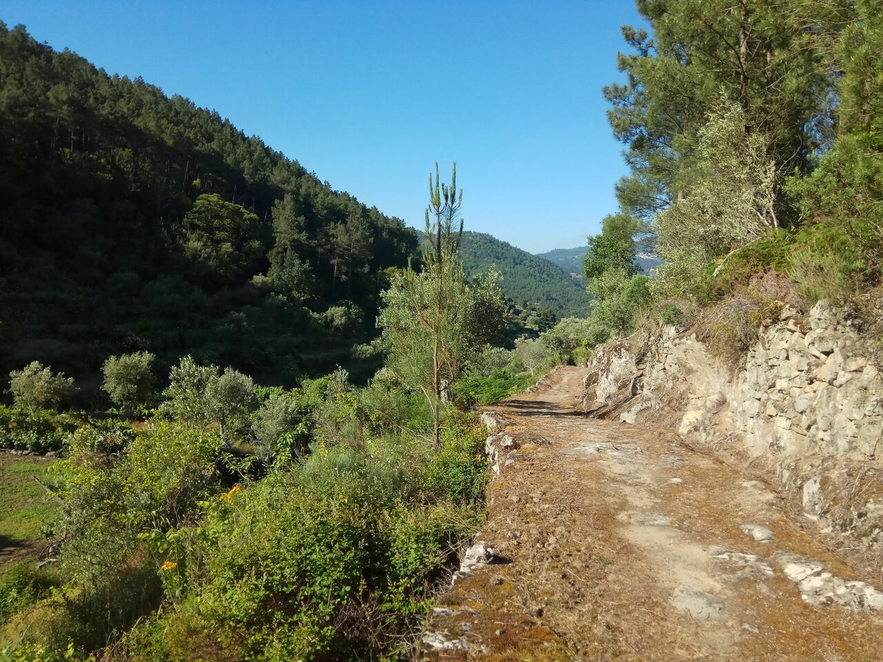 IMG 20180616 084721