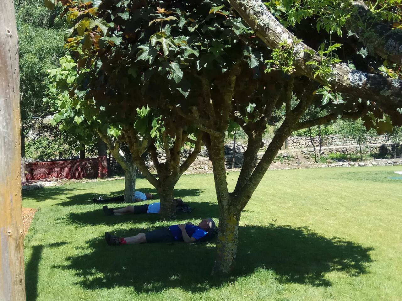 IMG 20180616 154352