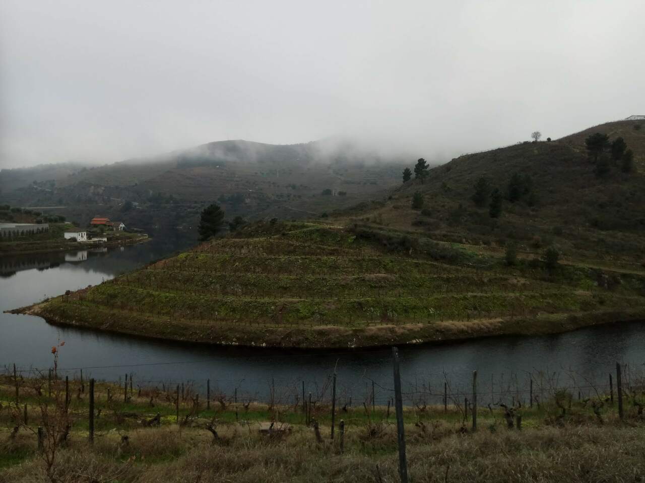 IMG 20181229 084543