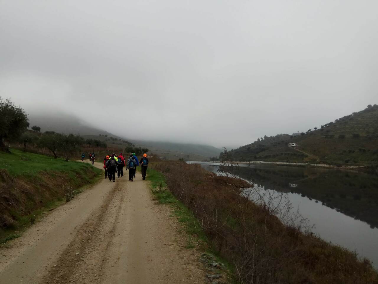 IMG 20181229 090112