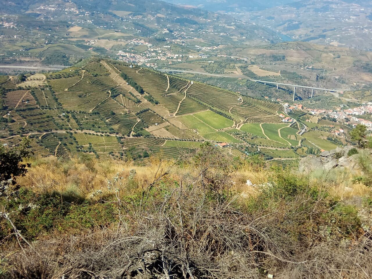 IMG 20180923 113905