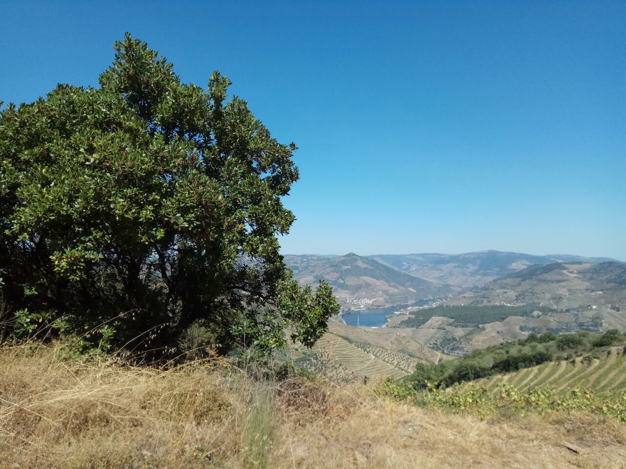 IMG 20180923 140519