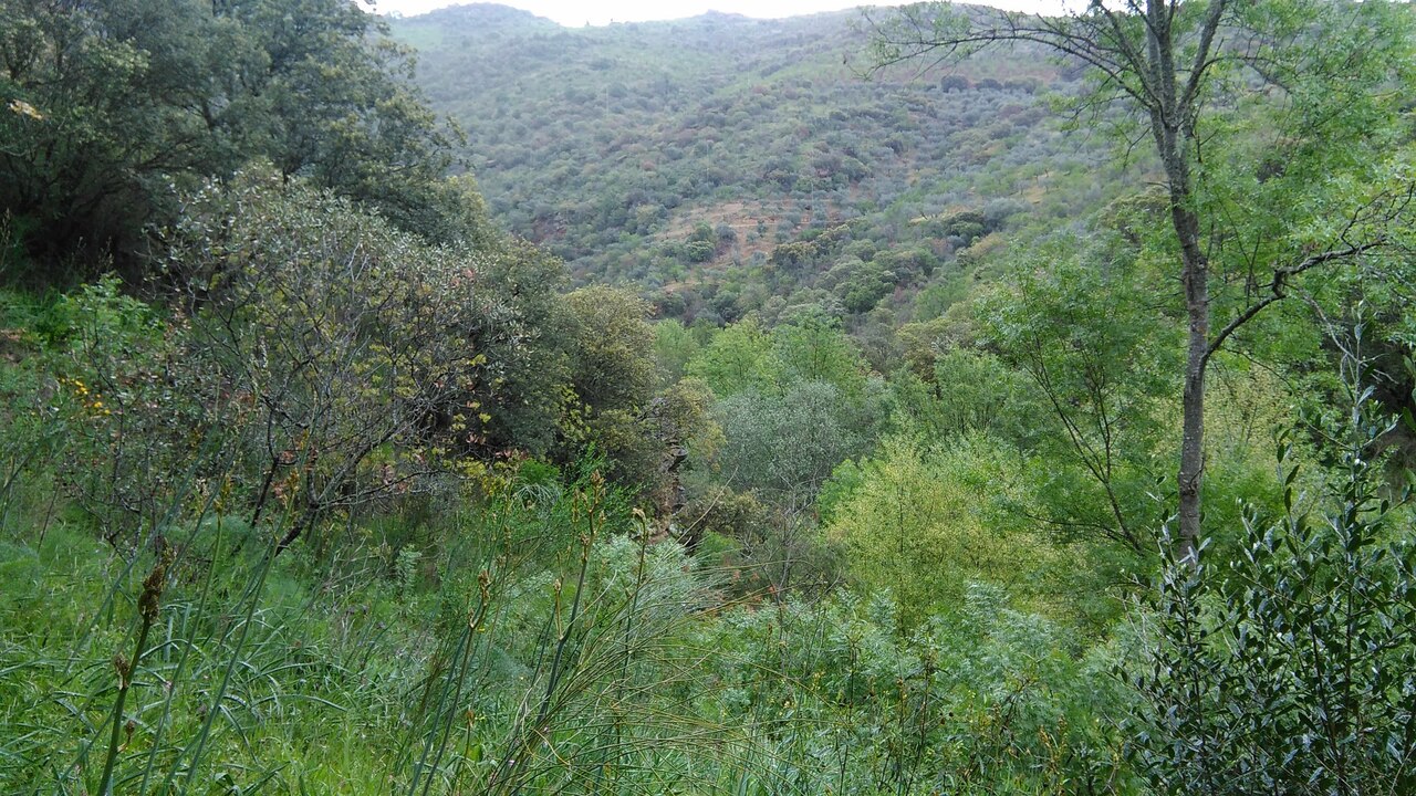 IMG 20180429 095927