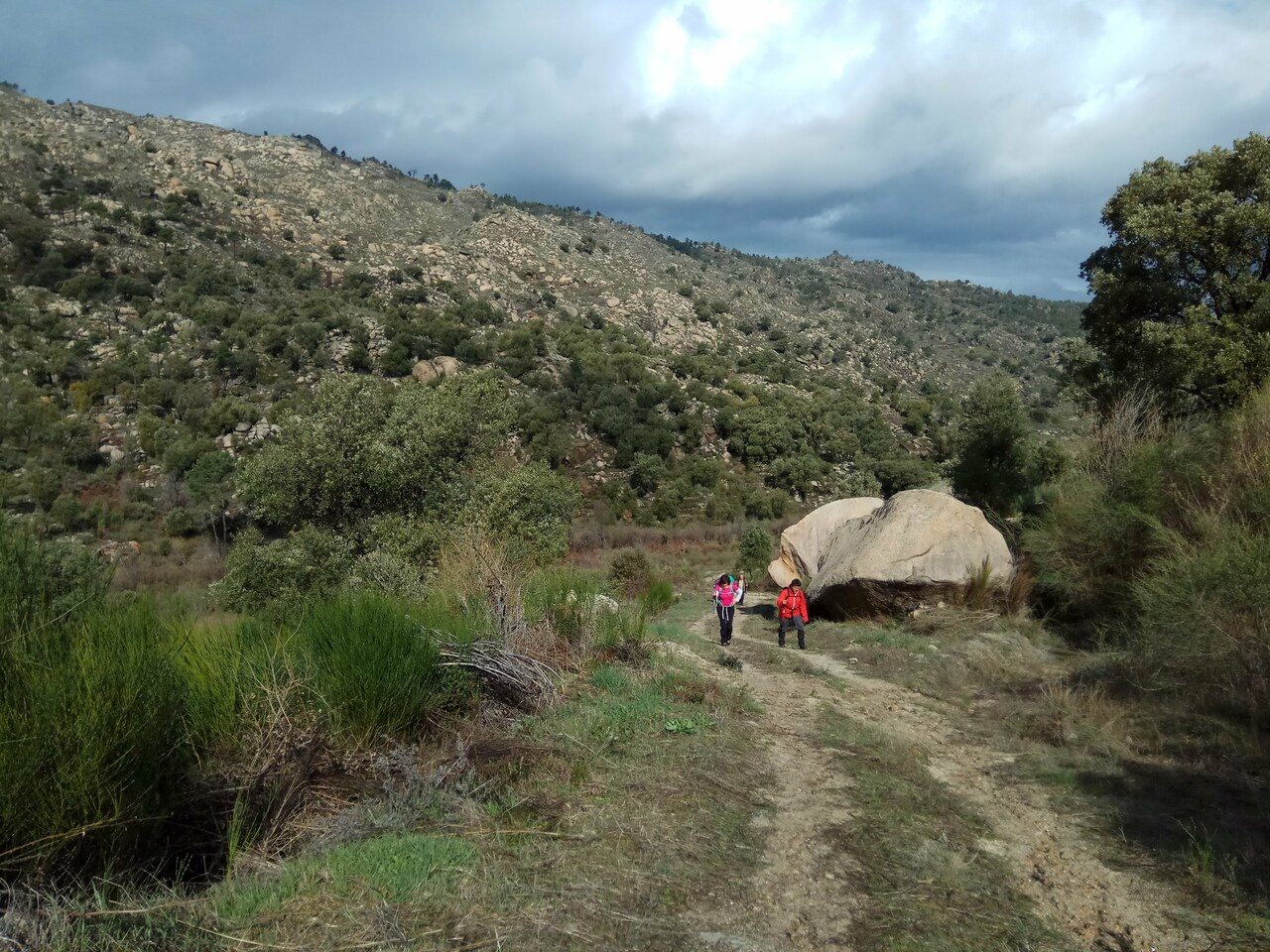 IMG 20180310 104512