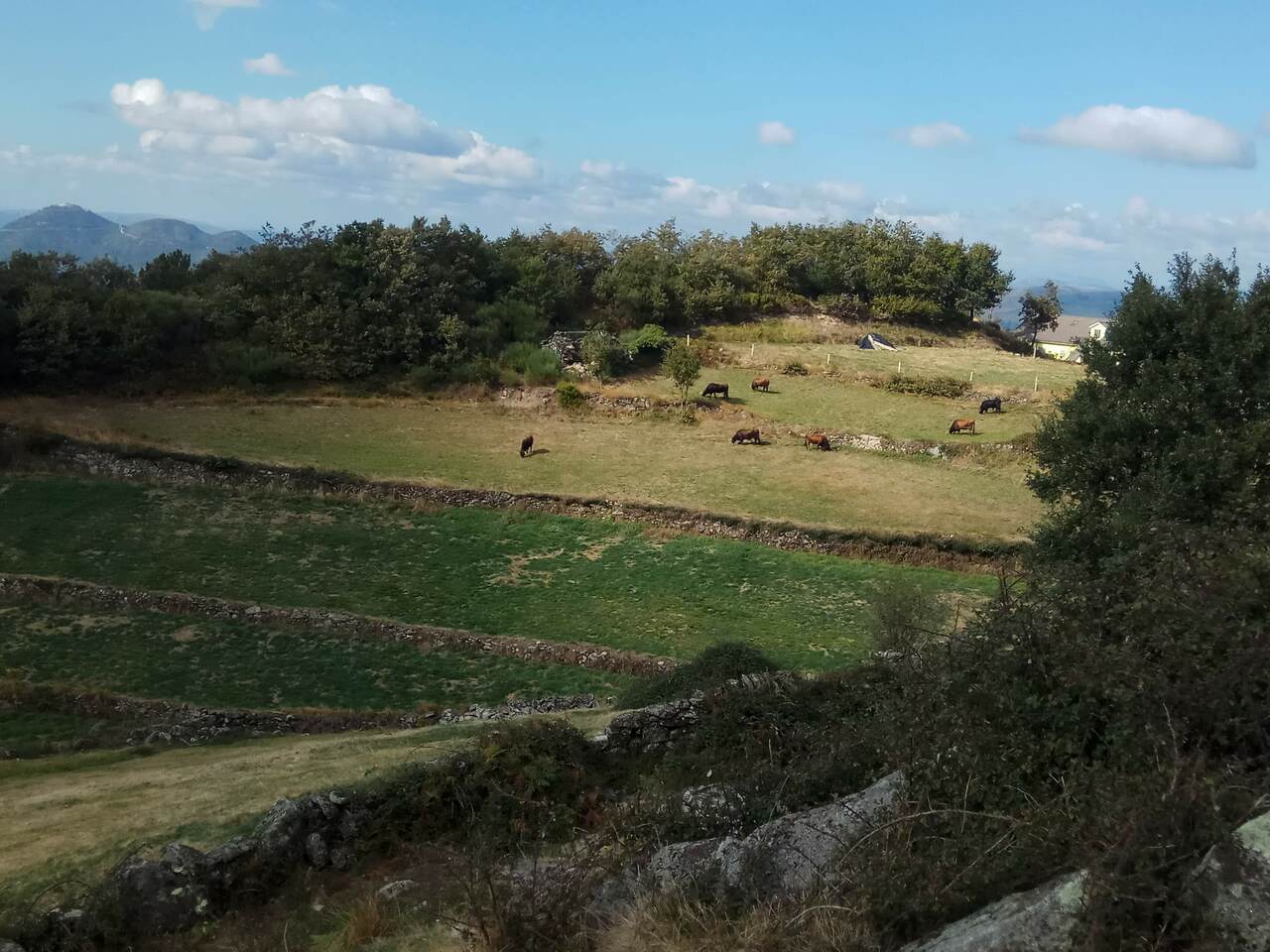 IMG 20181020 144006