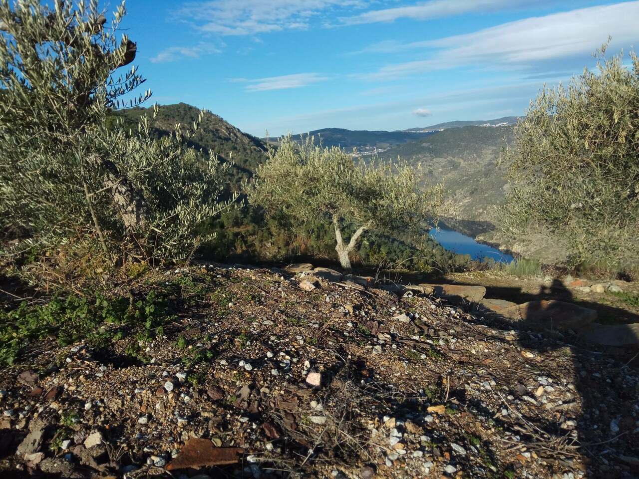 IMG 20180210 091312