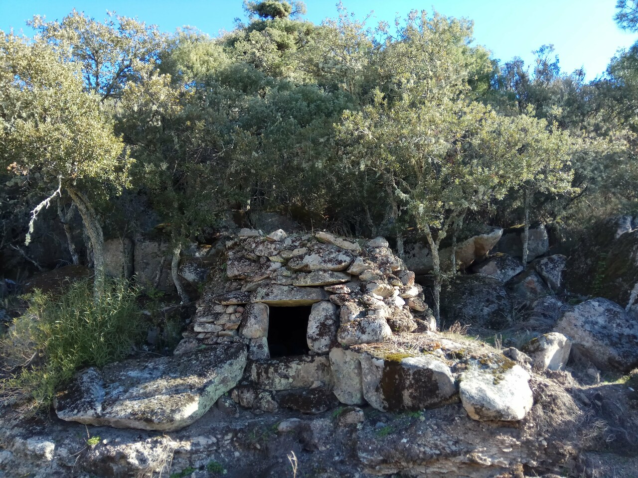 IMG 20180210 105354