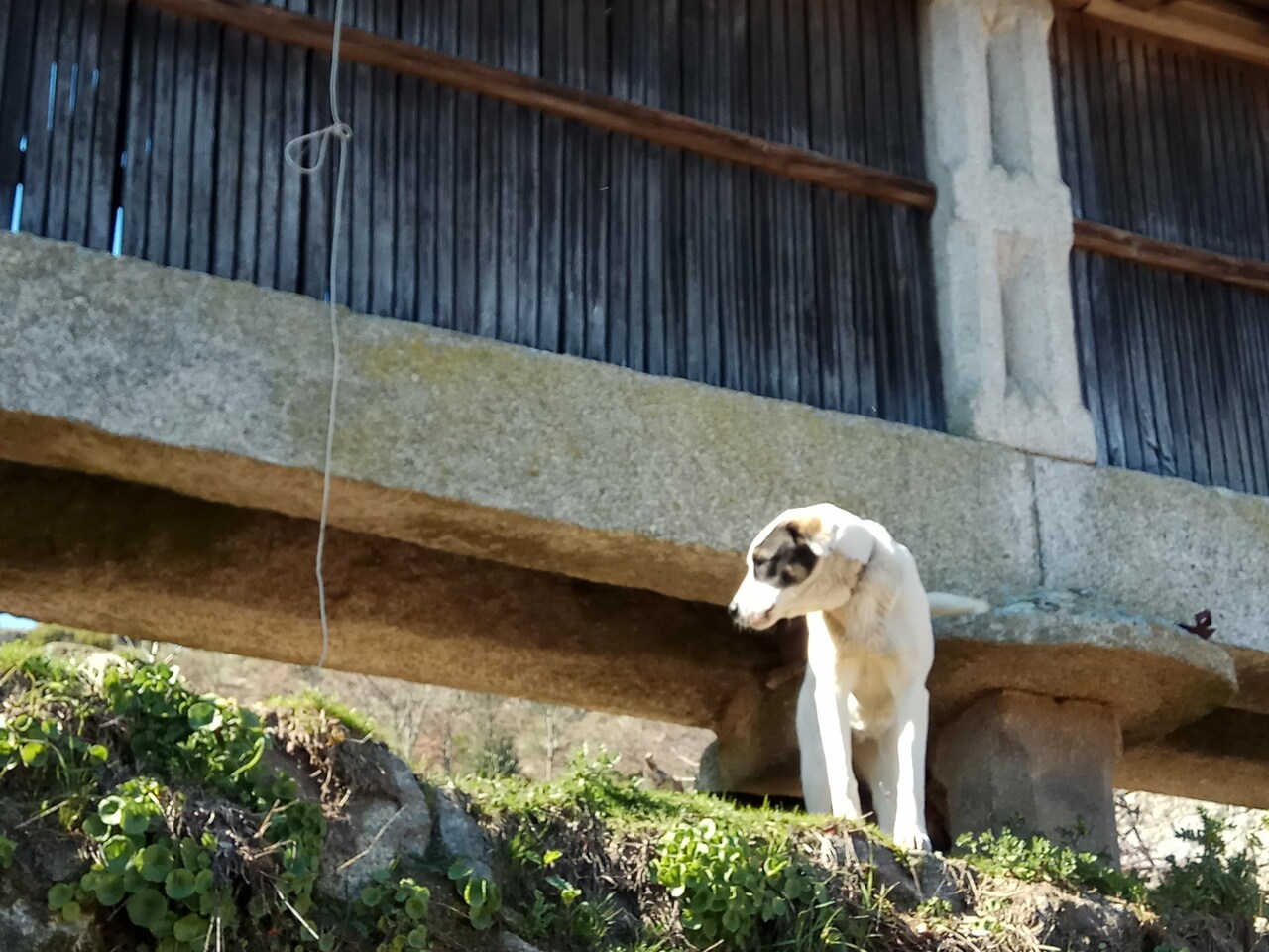 IMG 20180224 130731
