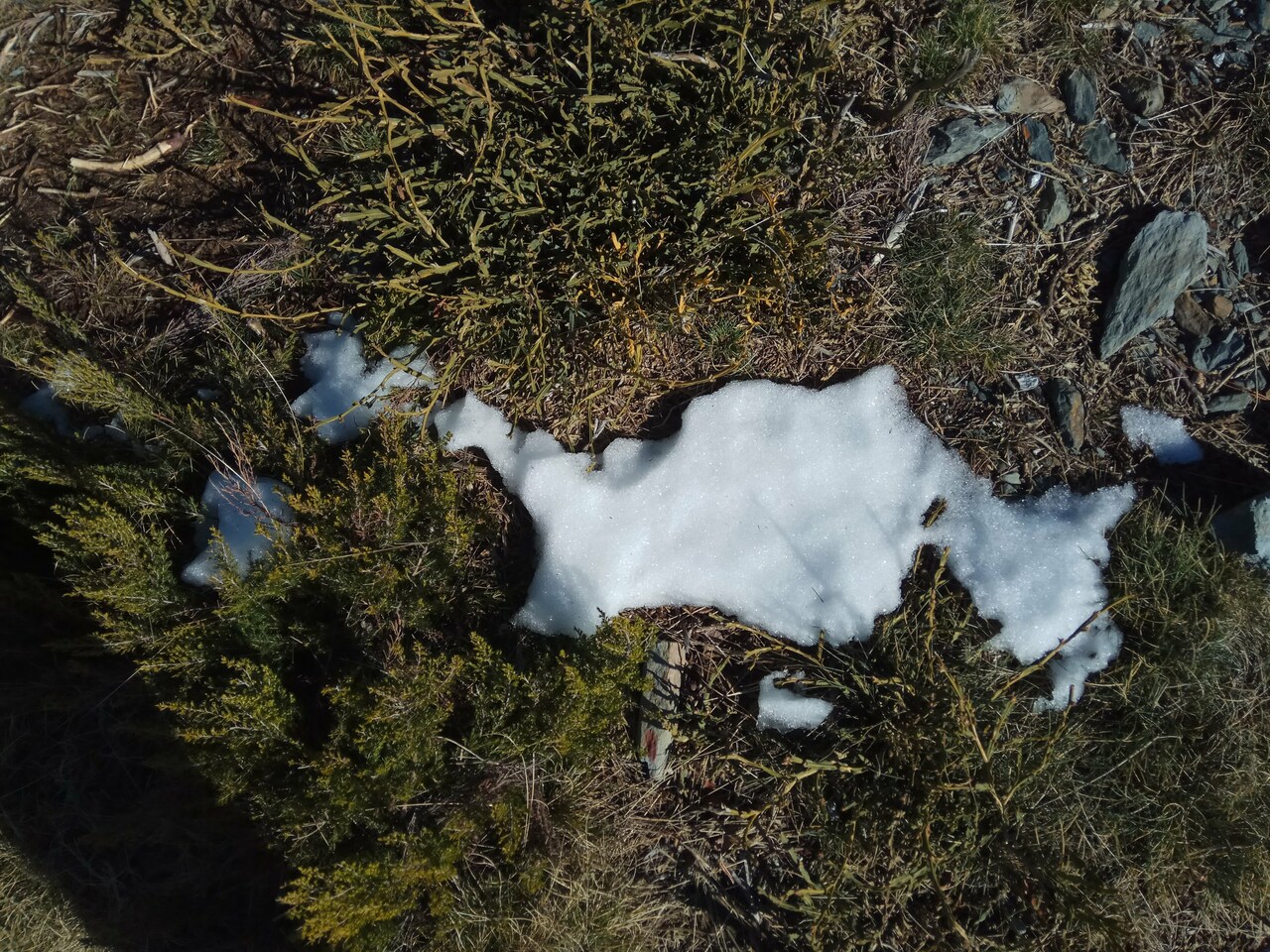 IMG 20180128 110142
