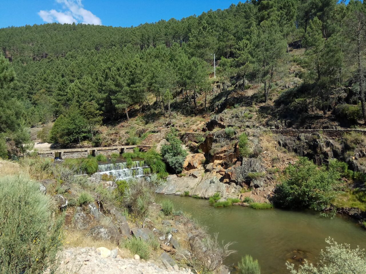 IMG 20180707 103418