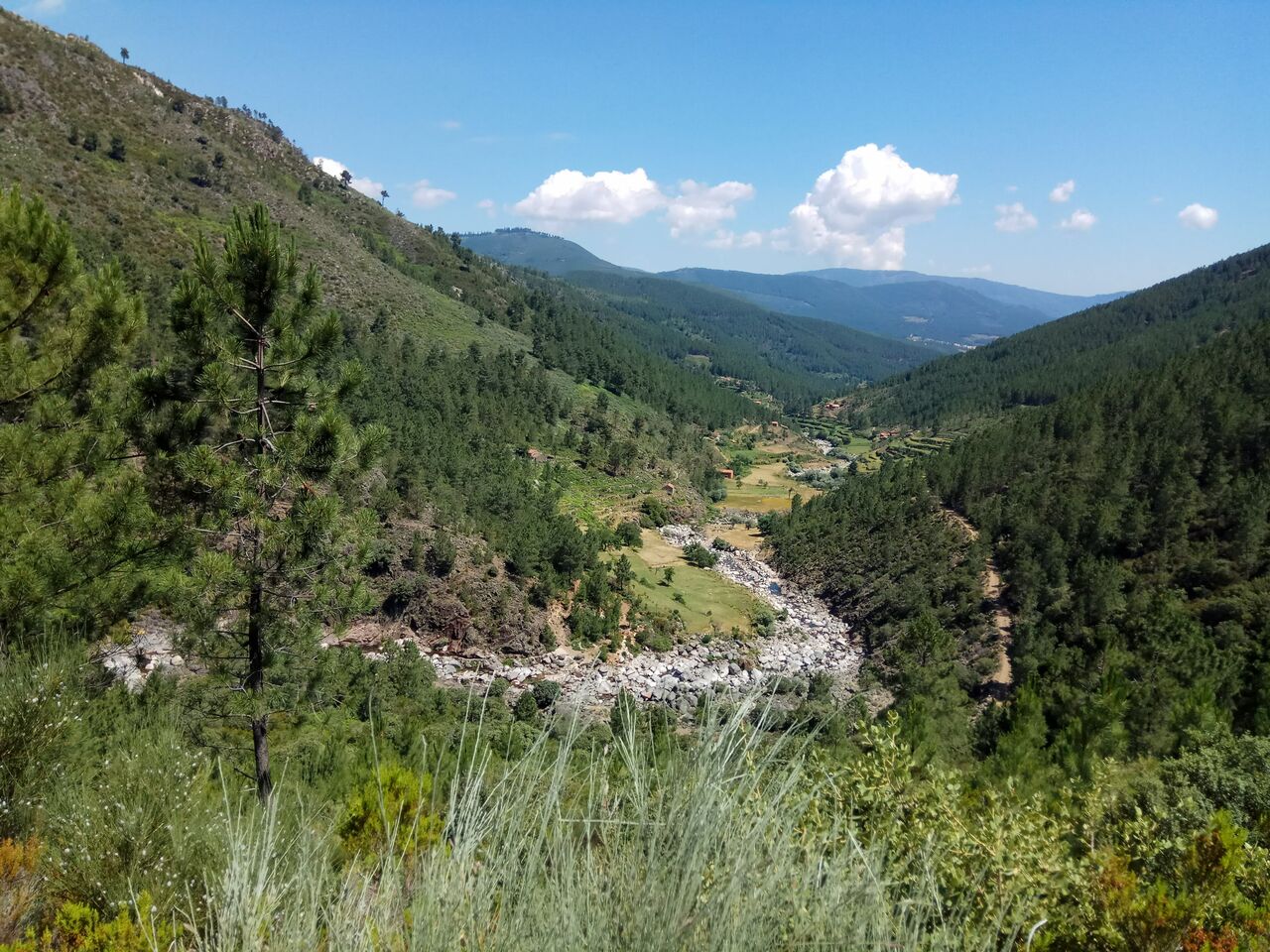 IMG 20180707 114343