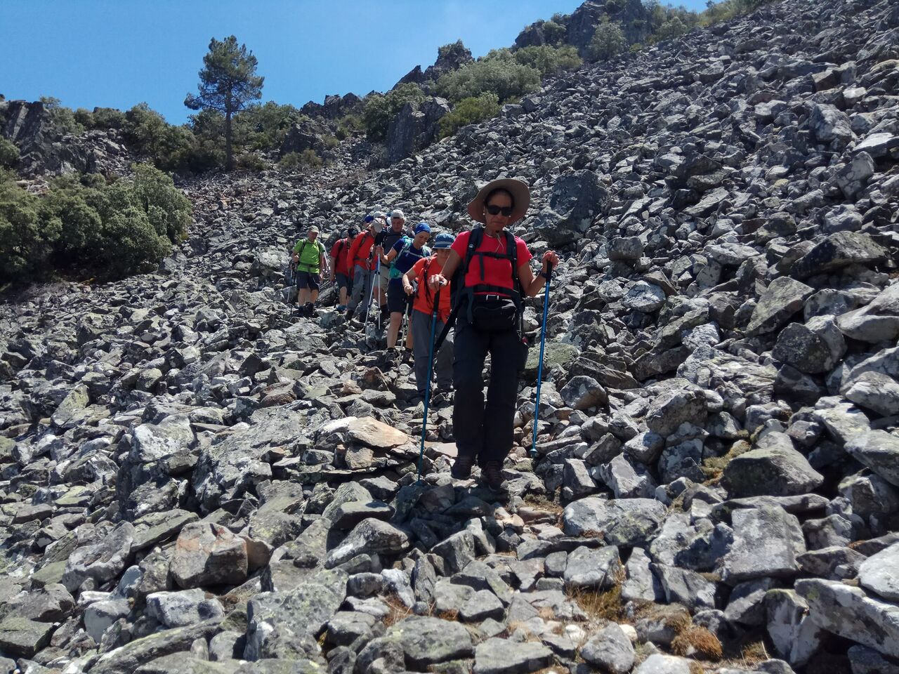 IMG 20180707 133520