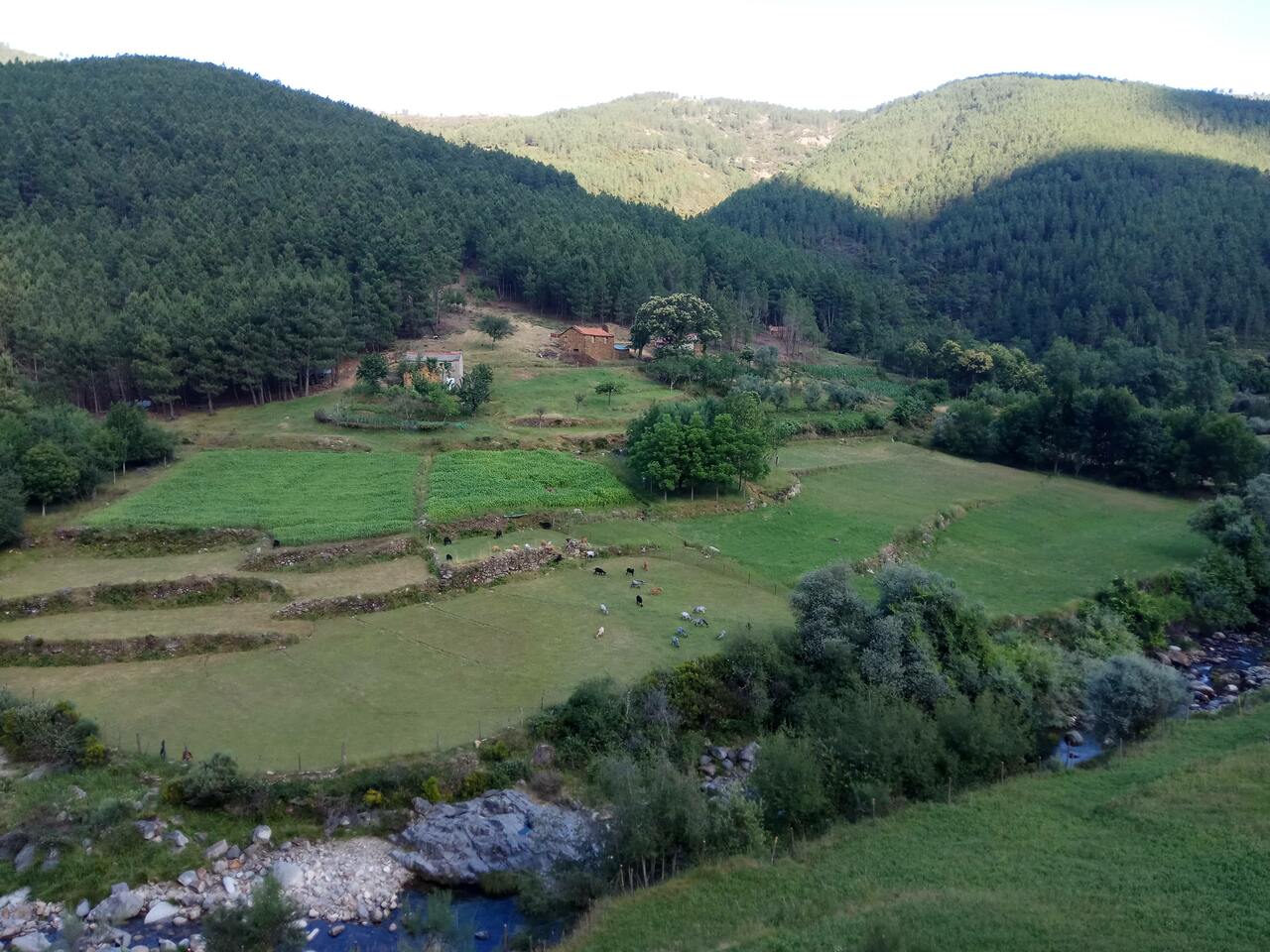 IMG 20180707 174951