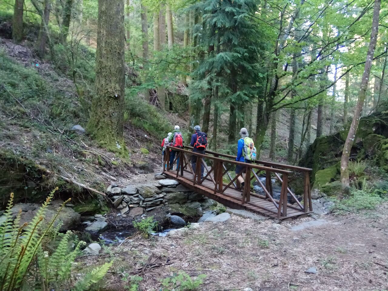 IMG 20190504 084234