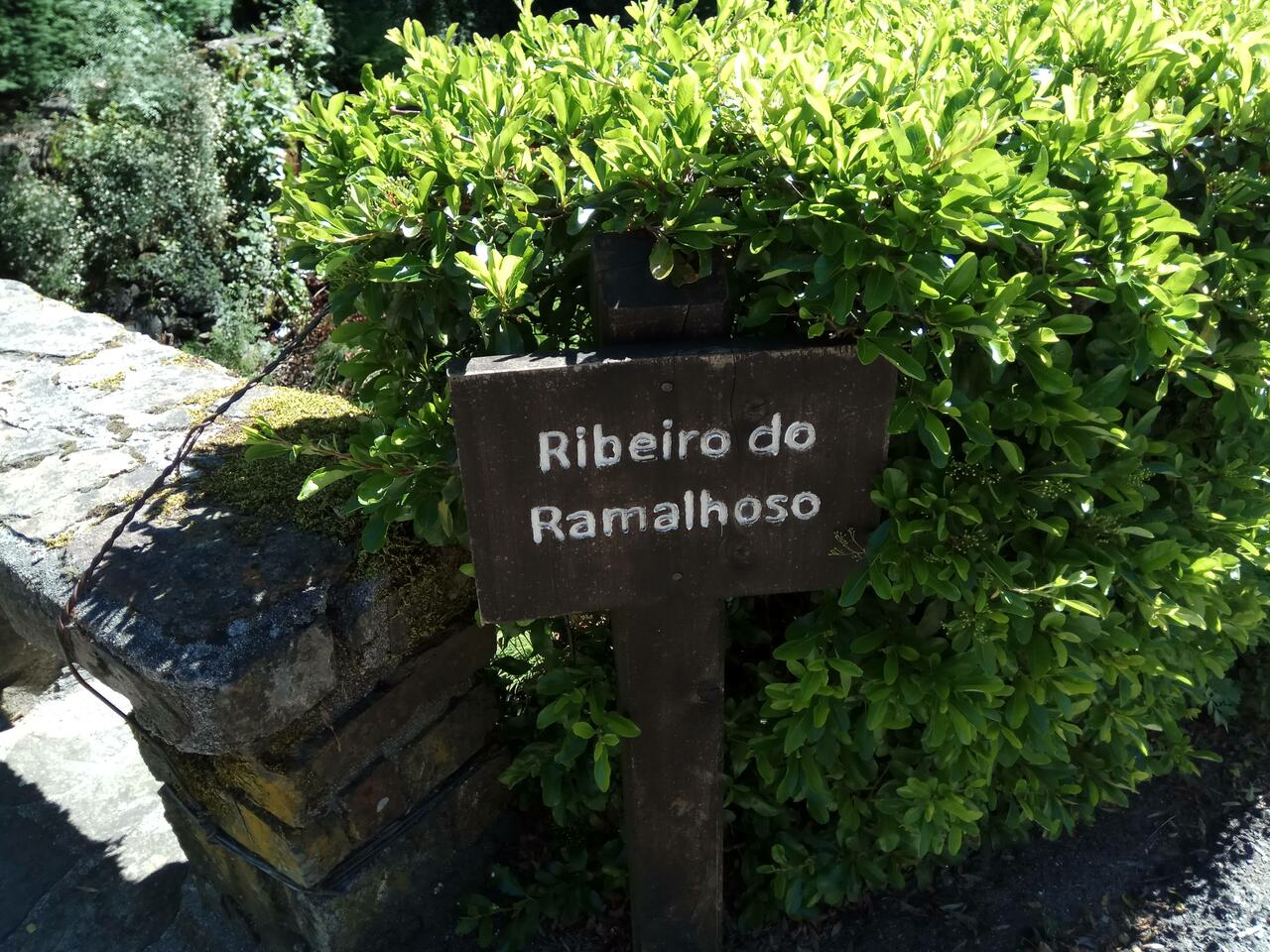 IMG 20190504 112059