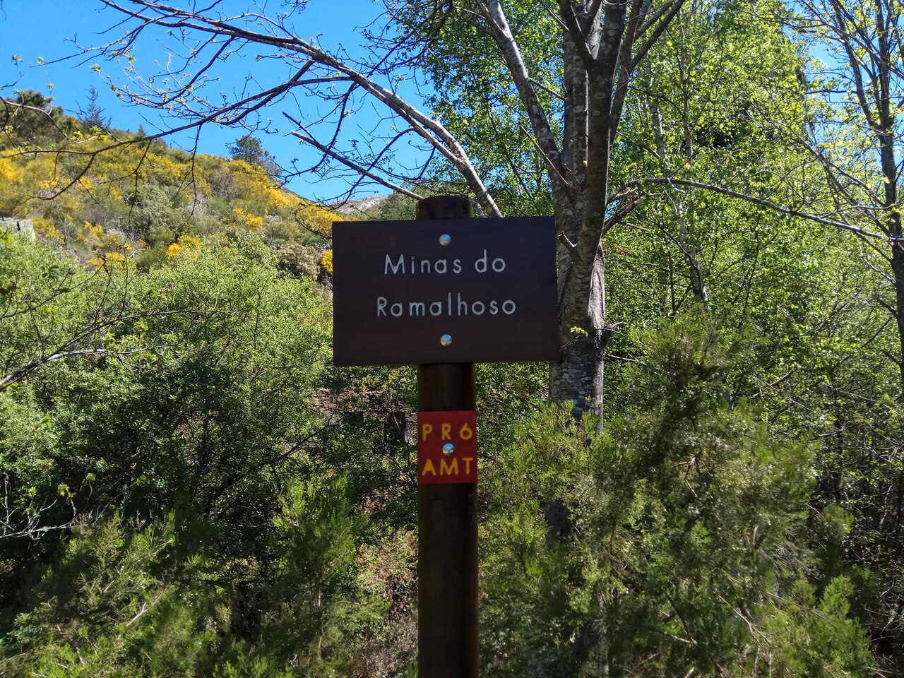 IMG 20190504 120019
