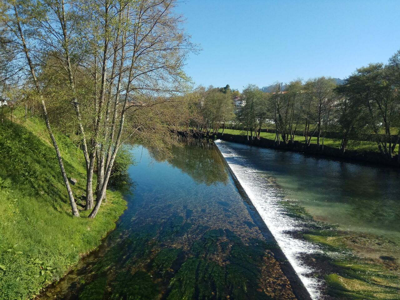 IMG 20190323 095541