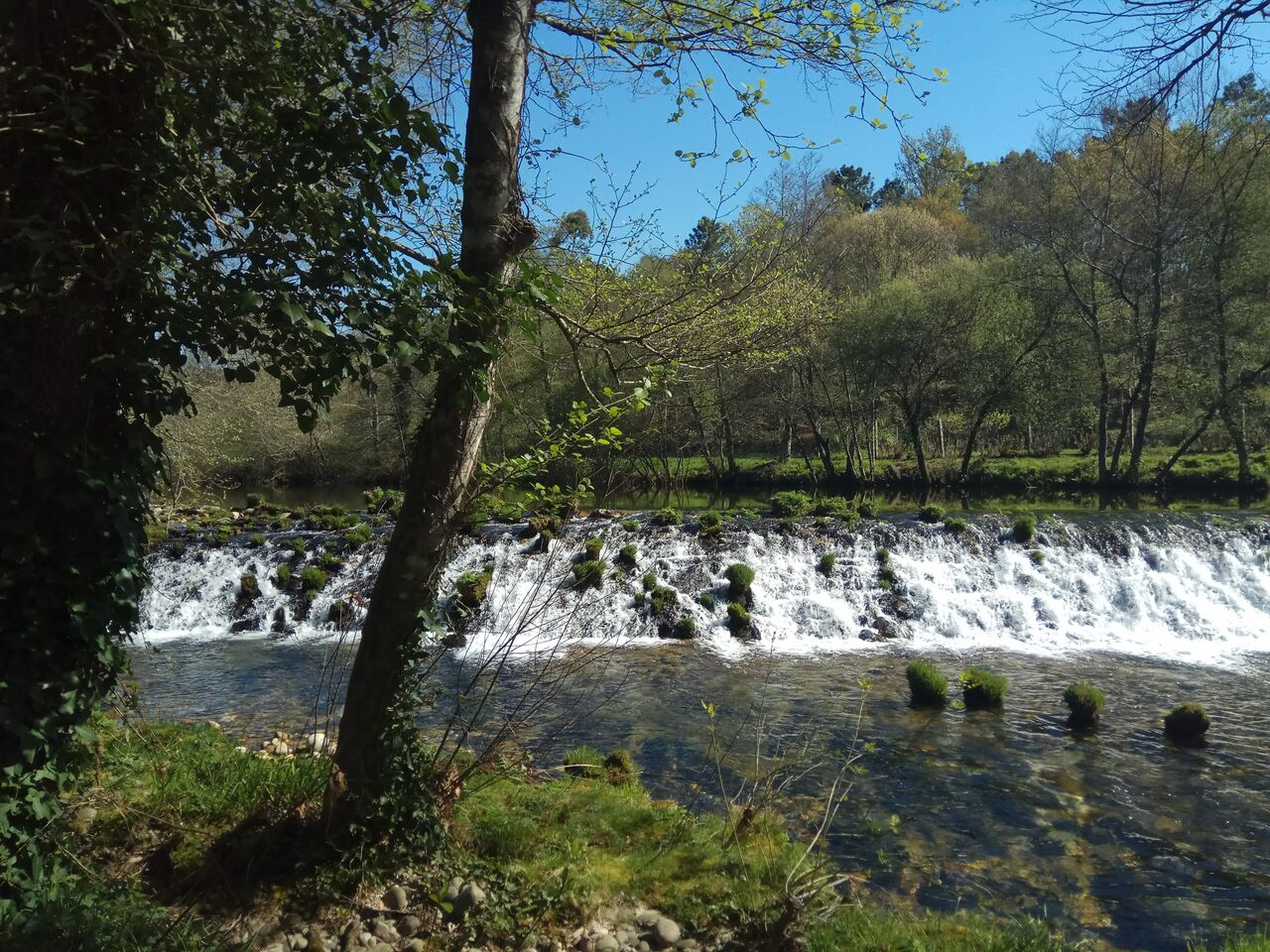 IMG 20190323 103254