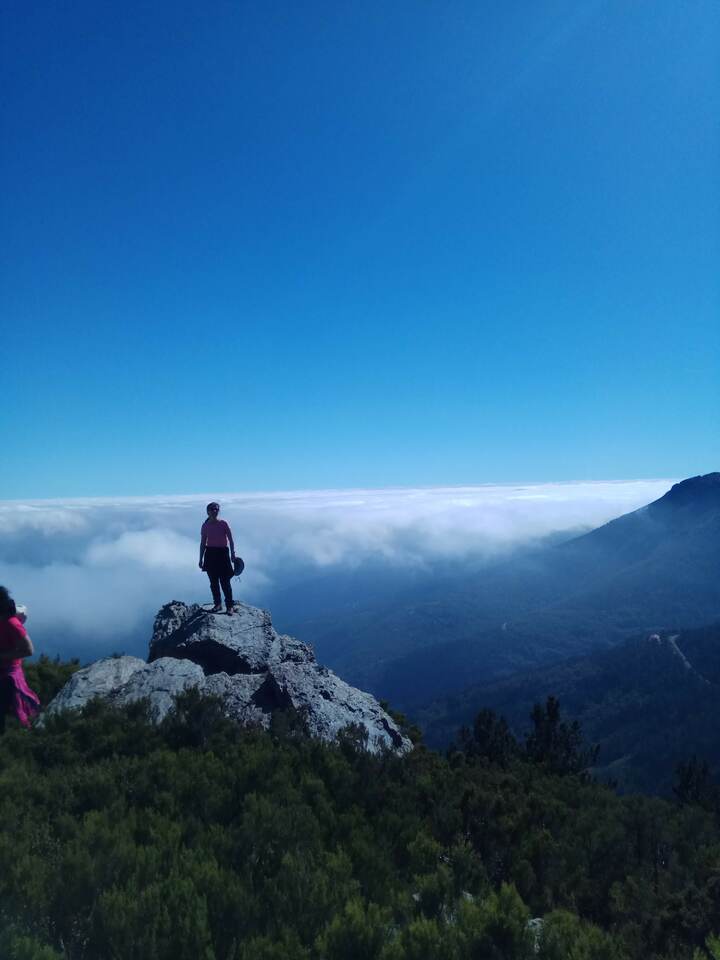 IMG 20191005 121407