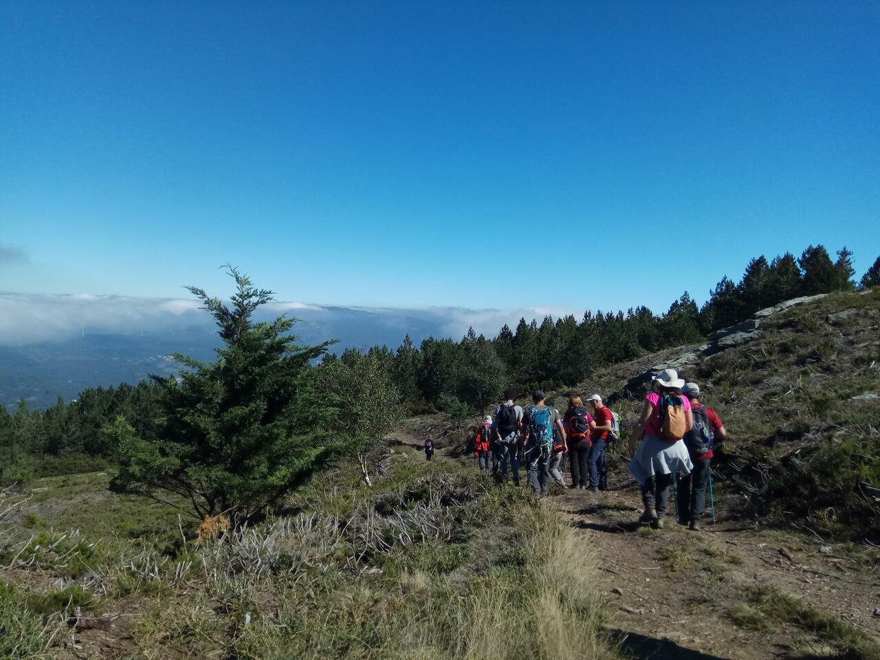 IMG 20191005 122600
