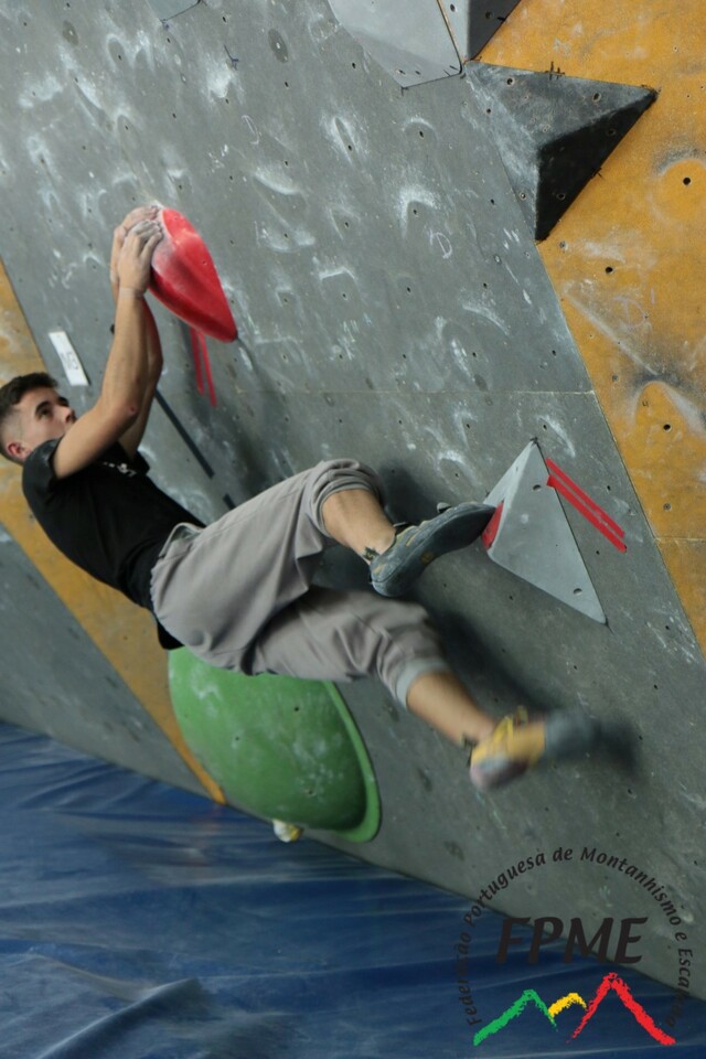 IMG 4474