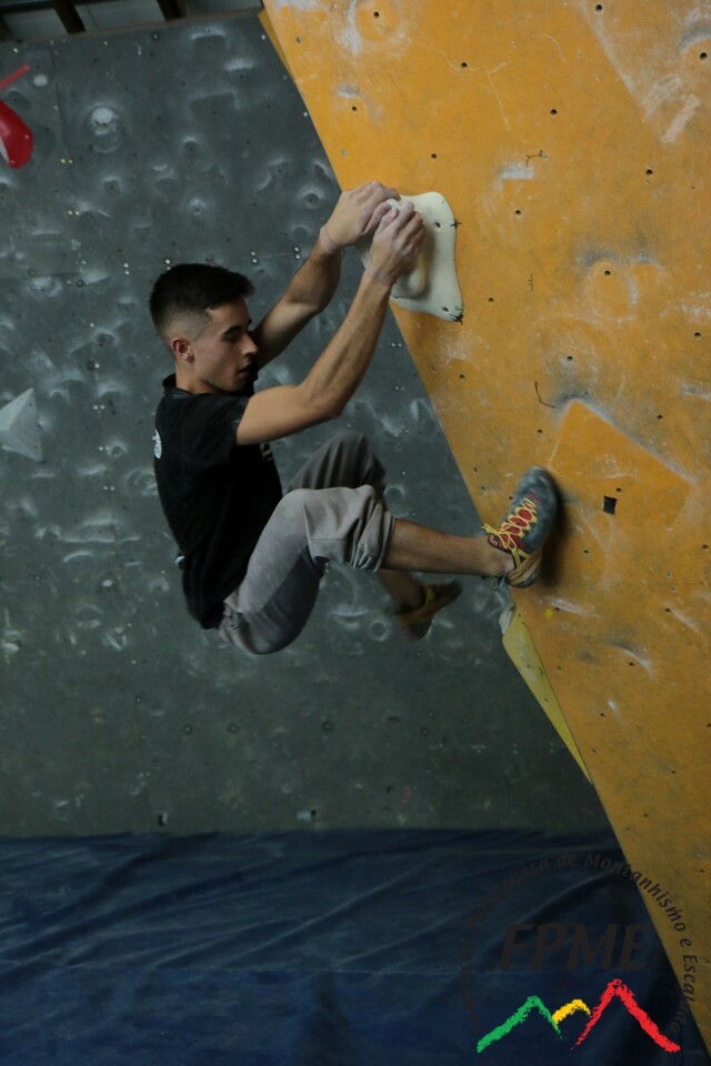 IMG 4483