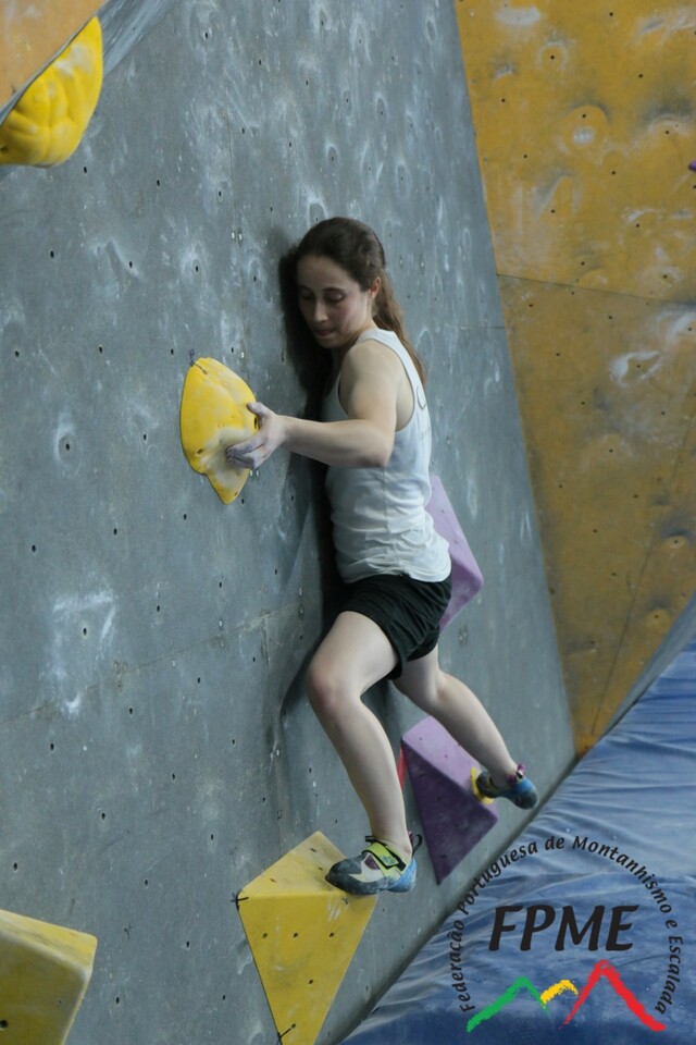 IMG 4510