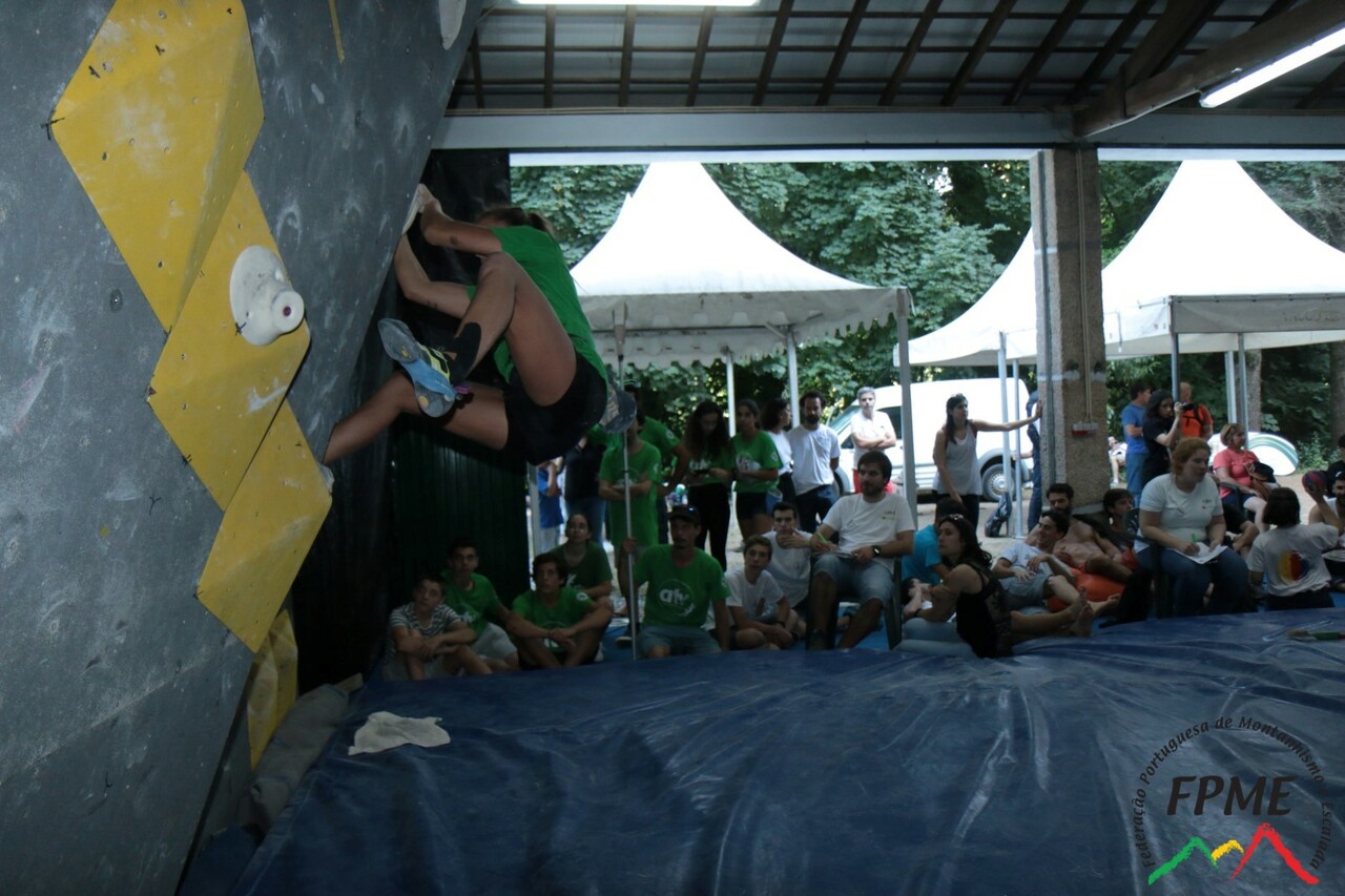 IMG 4527