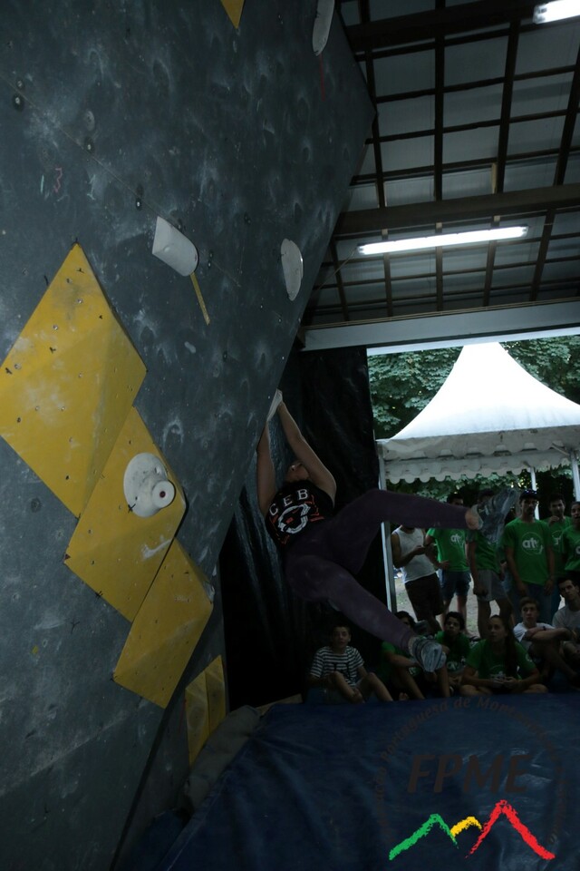 IMG 4536
