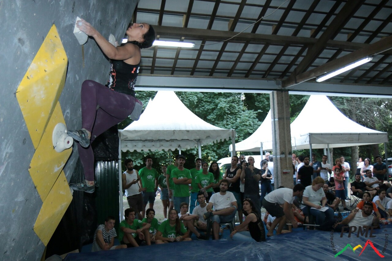 IMG 4537