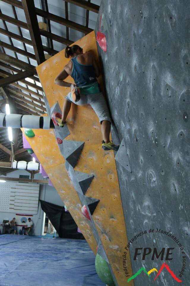 IMG 4542