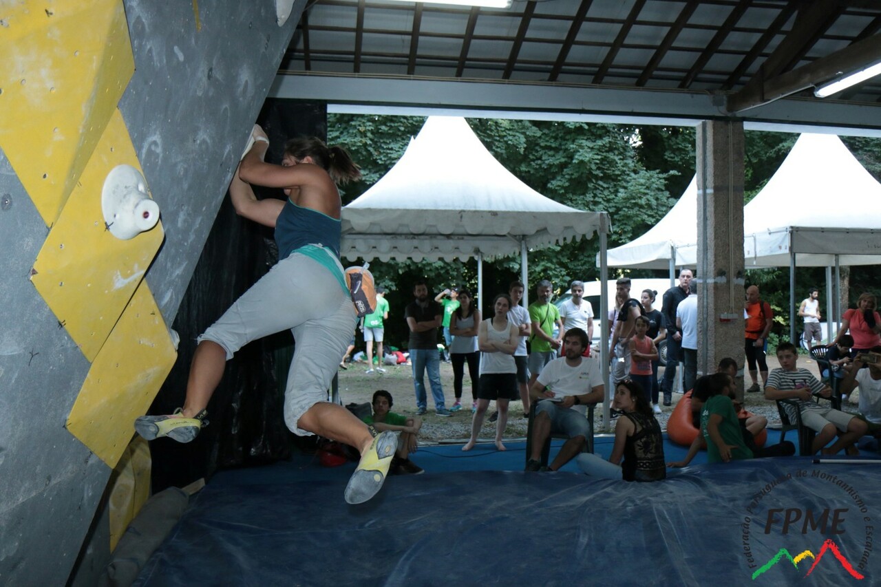 IMG 4546