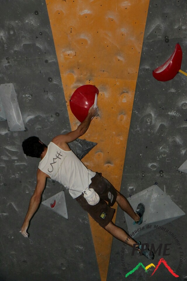 IMG 4597