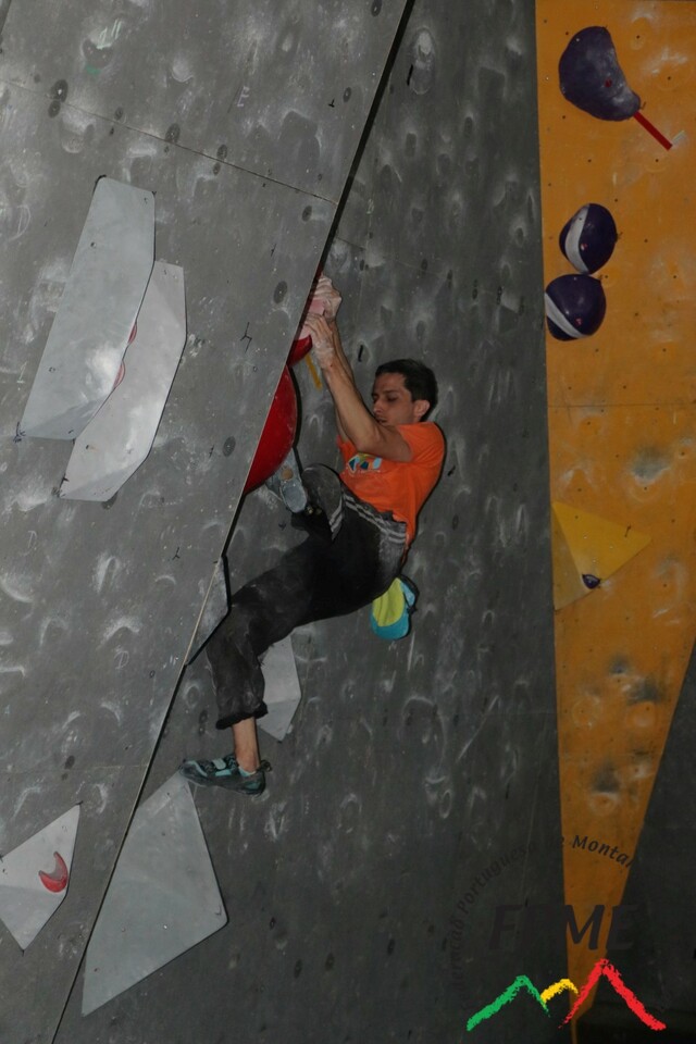 IMG 4599