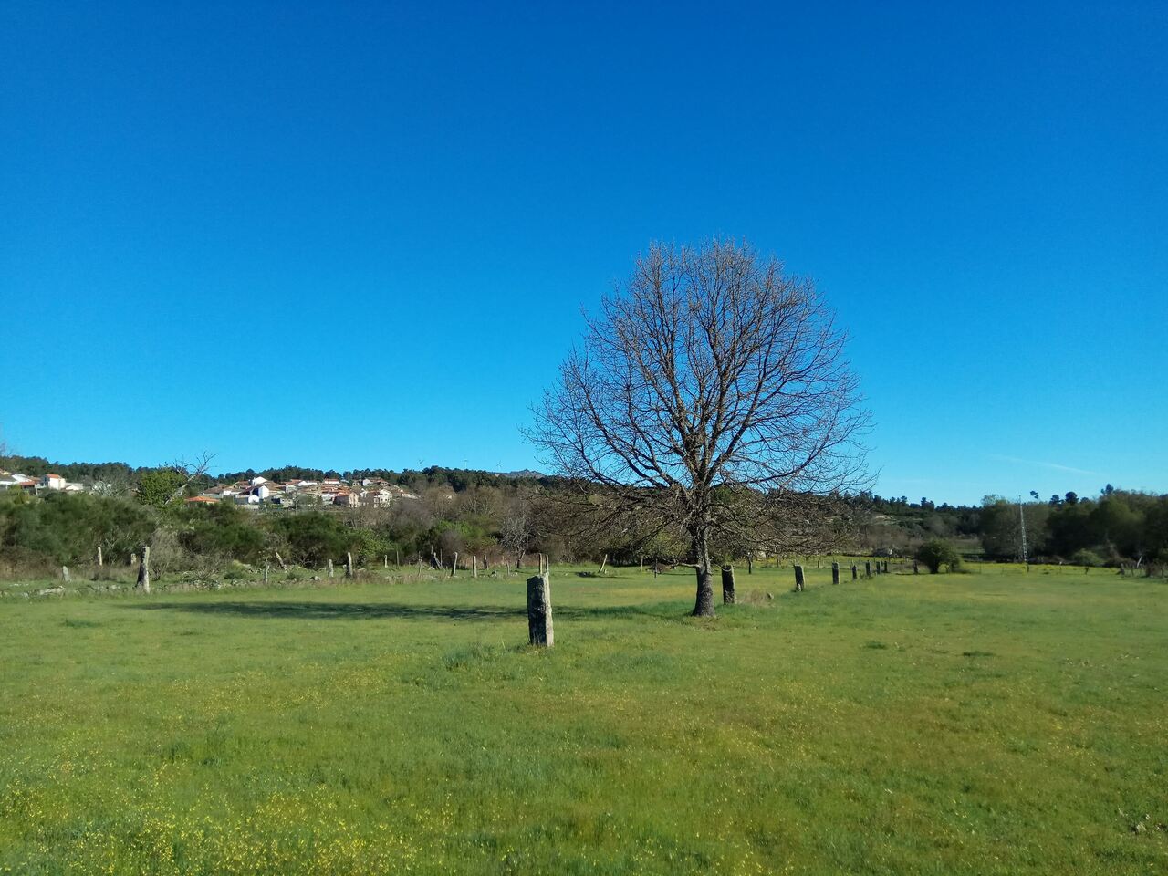 IMG 20190427 085604