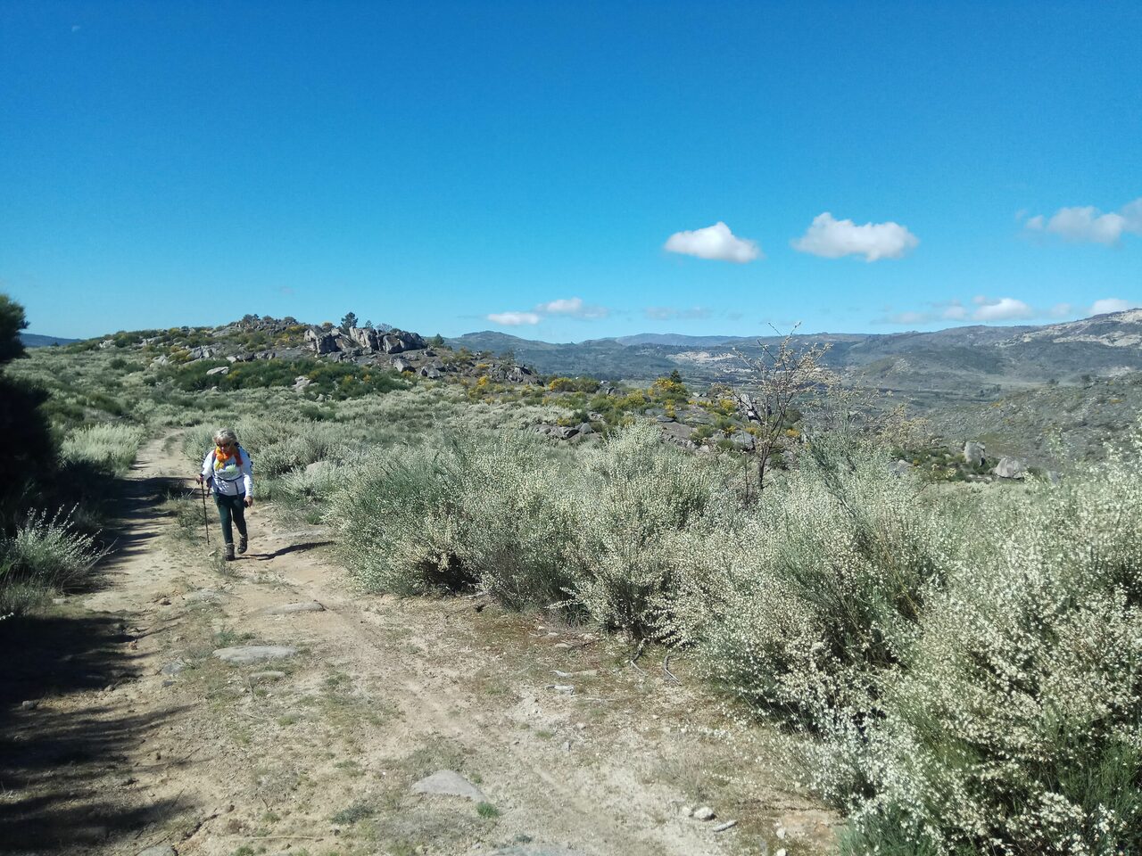 IMG 20190427 110413