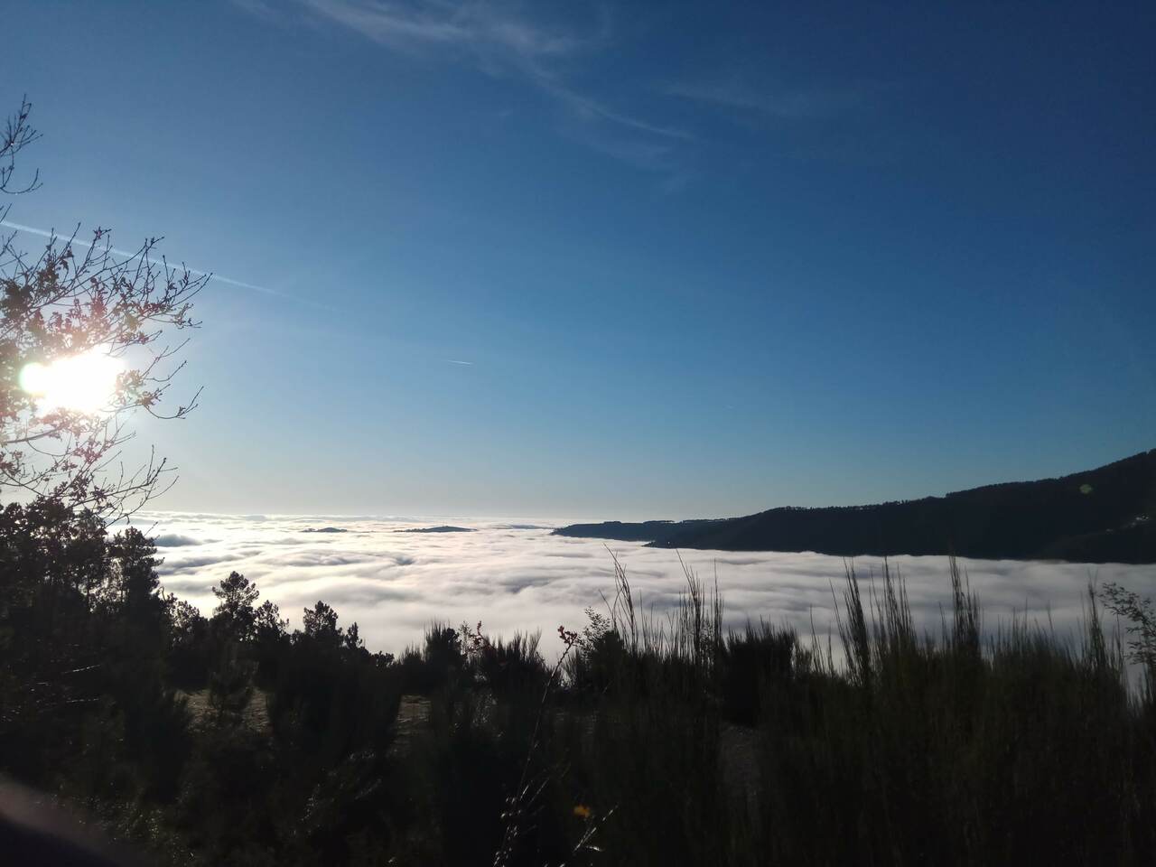 IMG 20191228 084915