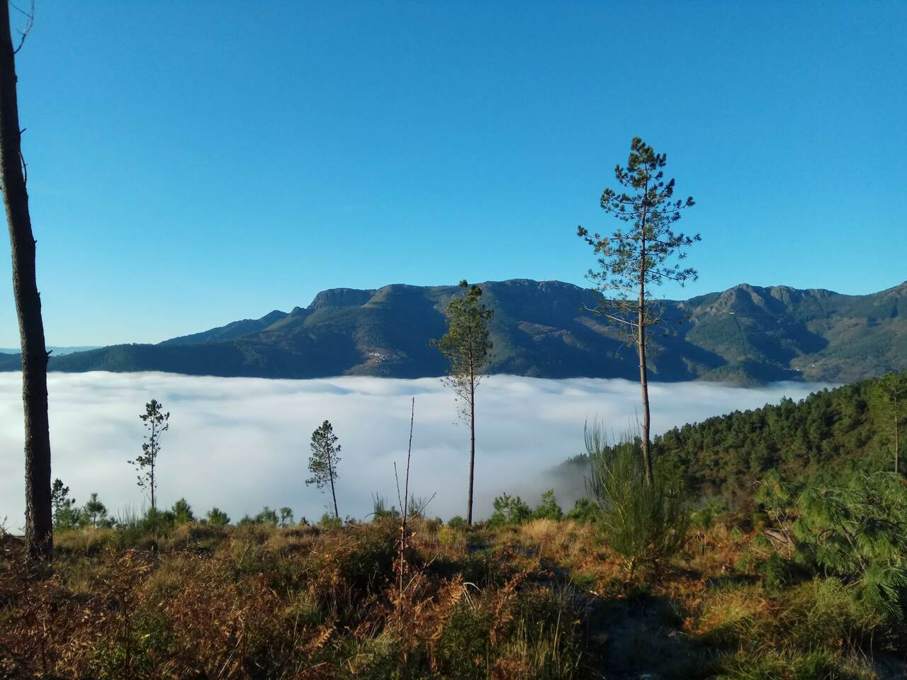 IMG 20191228 091211