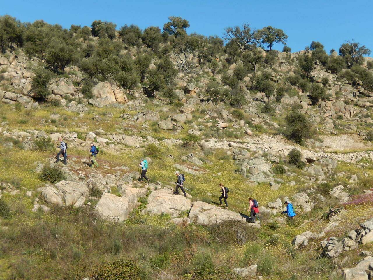 23 FEV 2020 Terrincha GMVR (104)