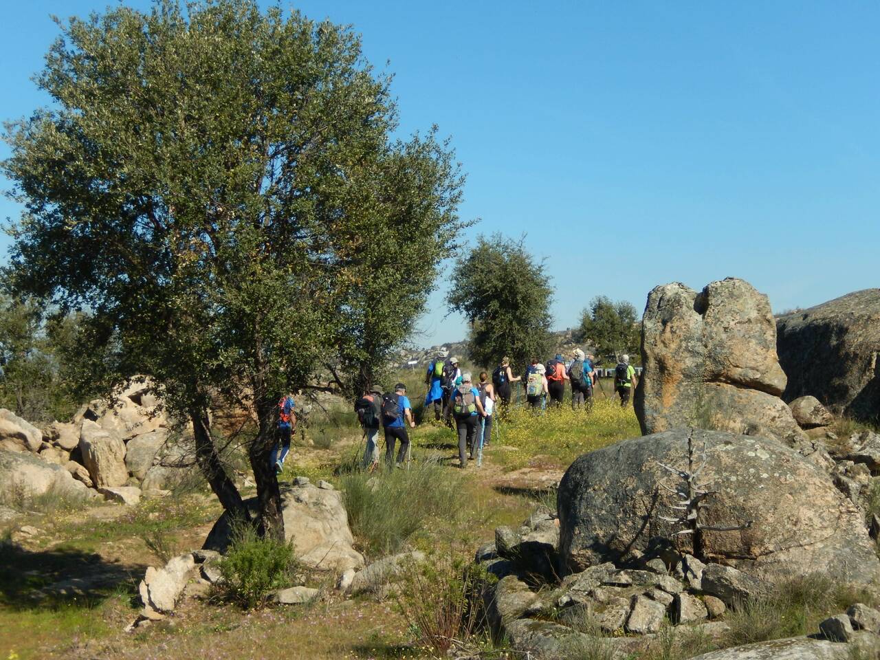 23 FEV 2020 Terrincha GMVR (137)
