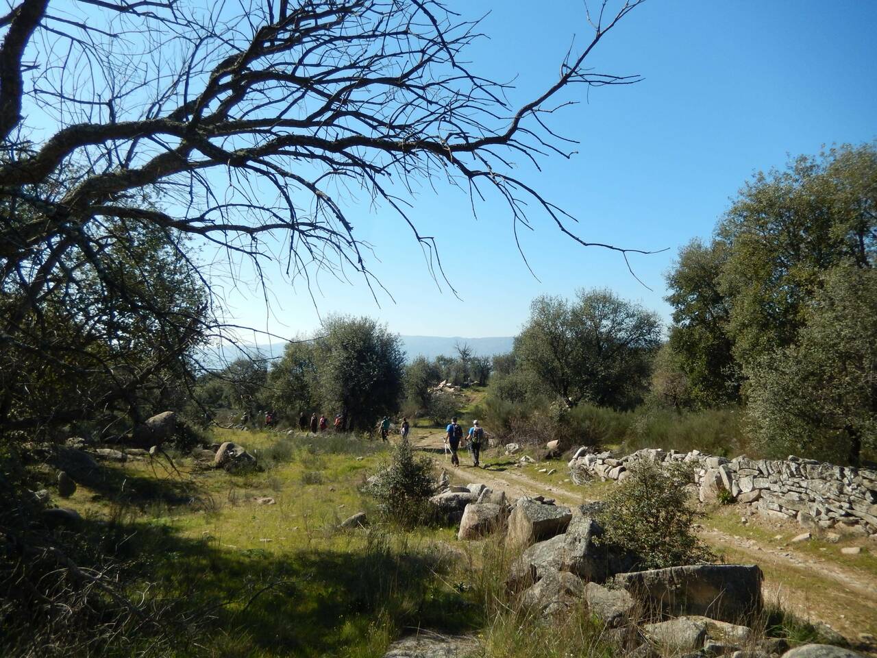23 FEV 2020 Terrincha GMVR (143)