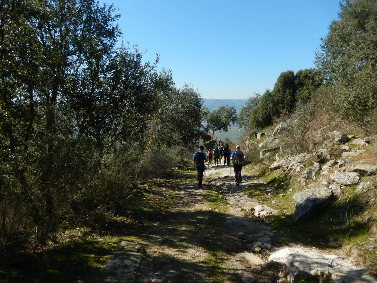 23 FEV 2020 Terrincha GMVR (150)