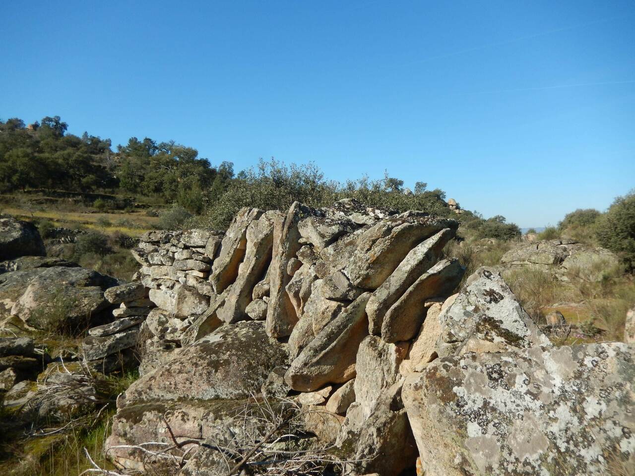 23 FEV 2020 Terrincha GMVR (31)