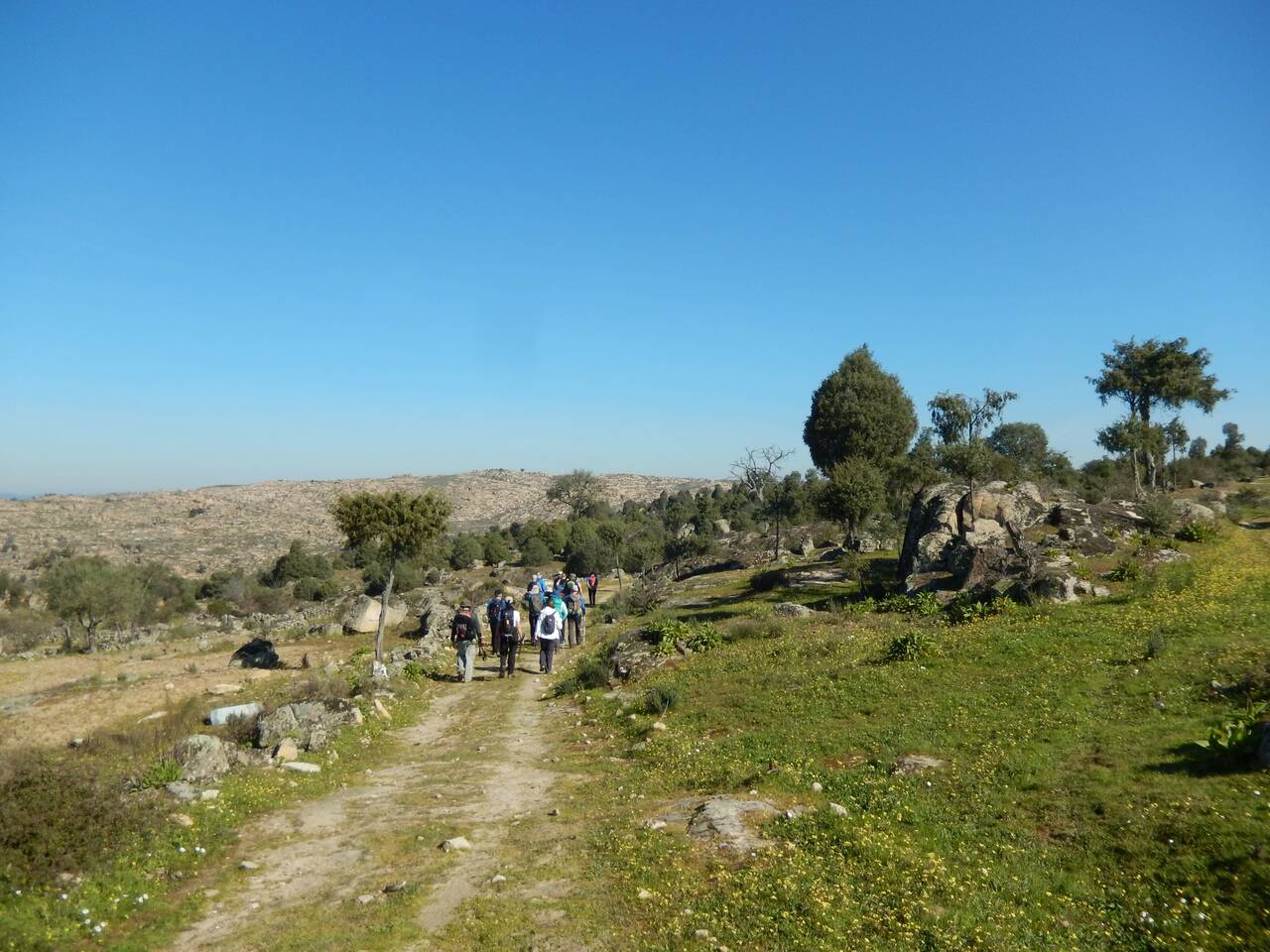 23 FEV 2020 Terrincha GMVR (68)