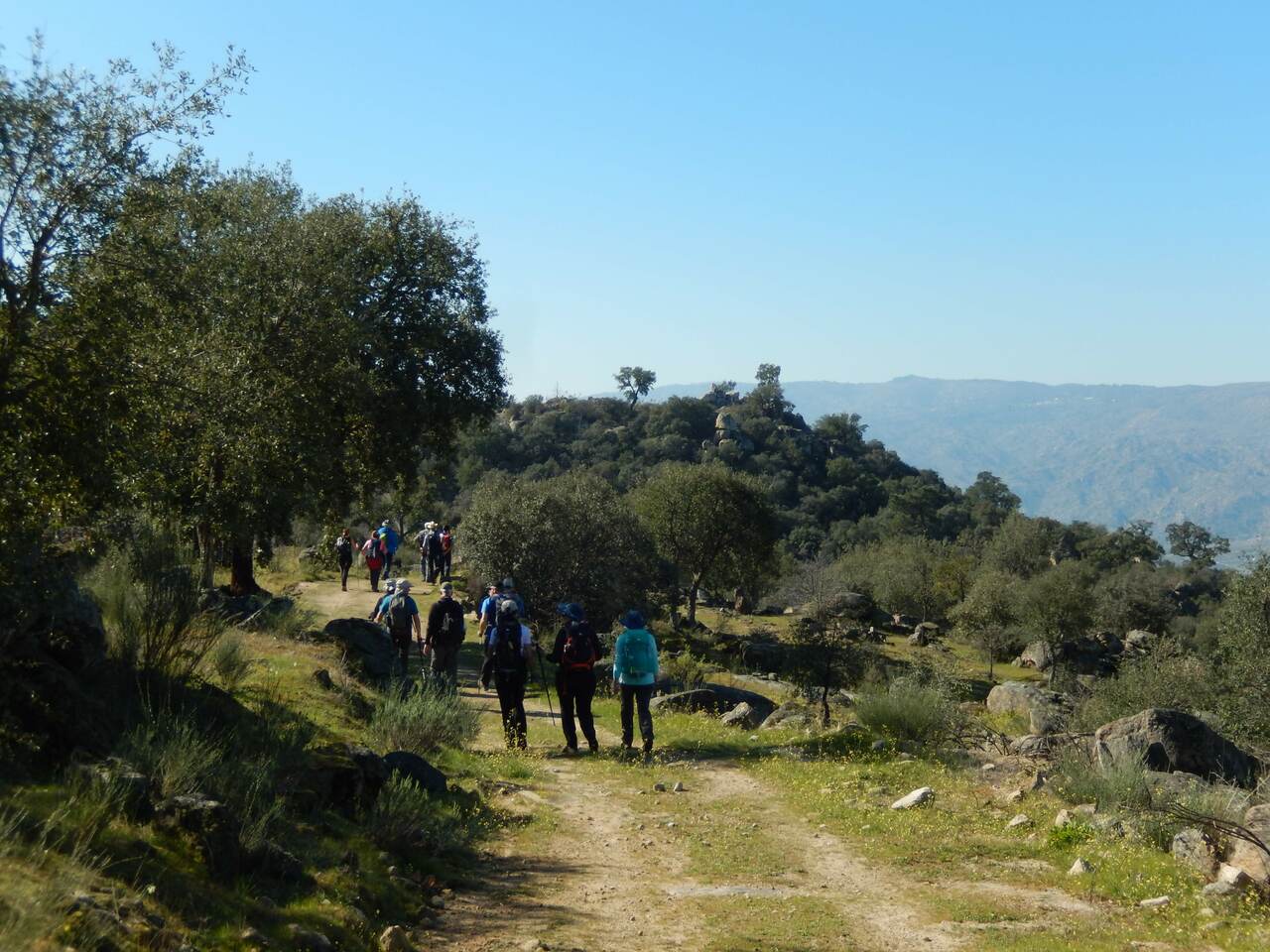 23 FEV 2020 Terrincha GMVR (78)